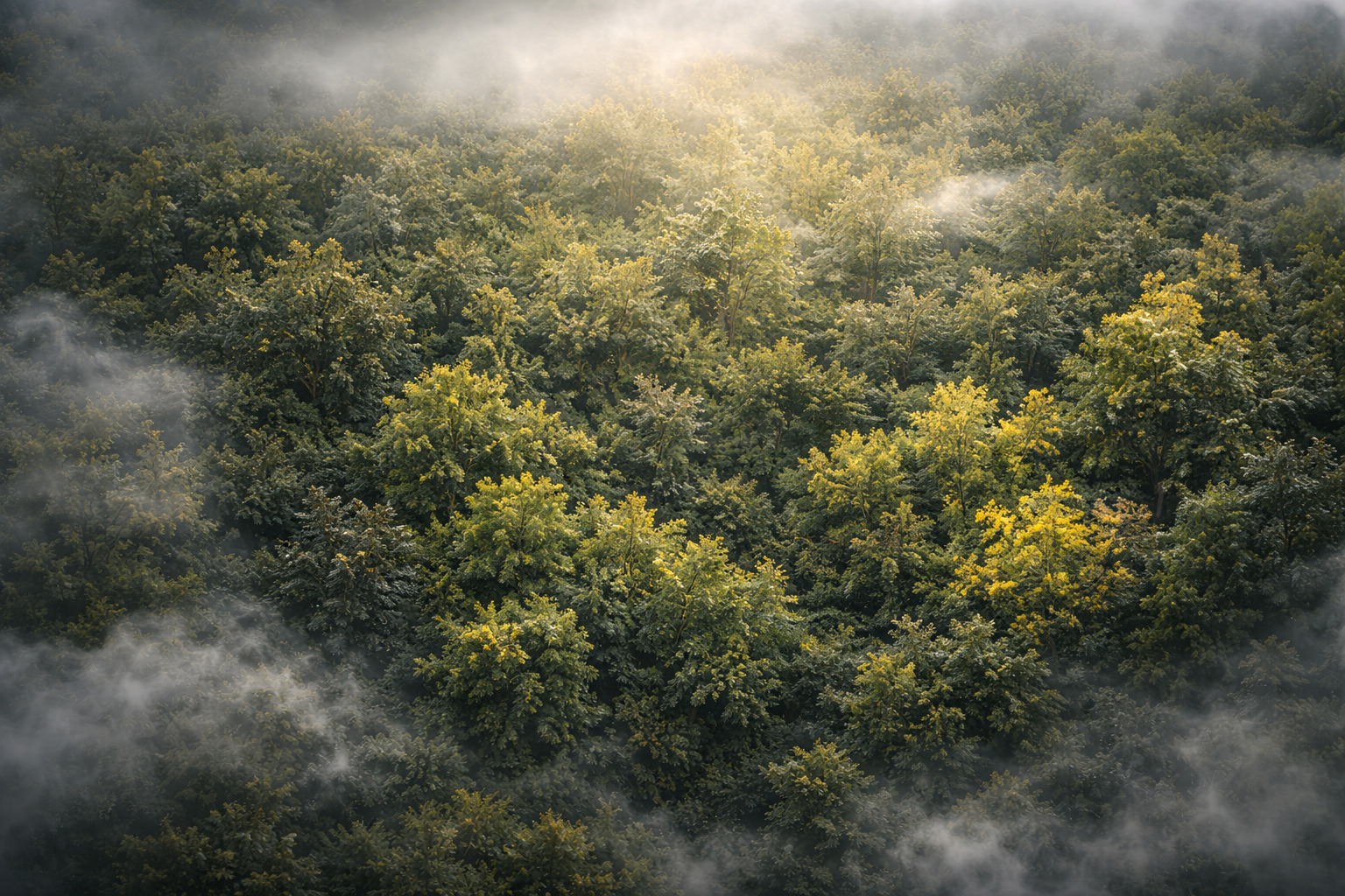 Sustainability at Shield Tech